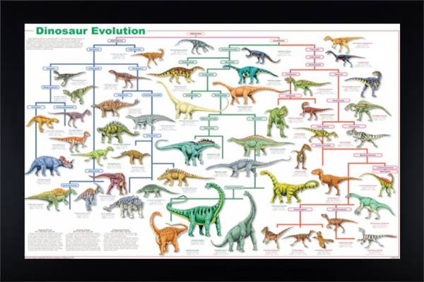 Dinosuar Evolution