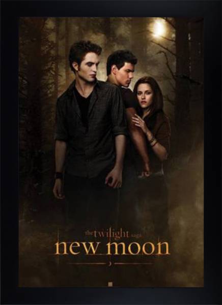 Twilight - New Moon
